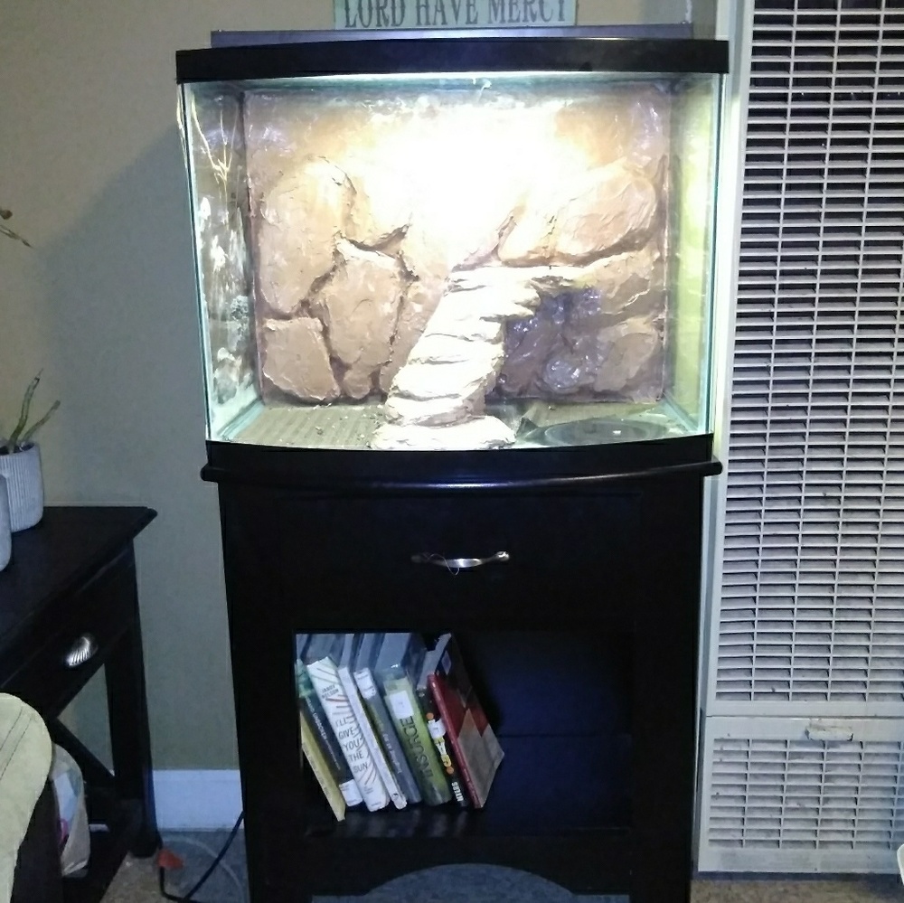 Beautiful Terrarium with black stand
